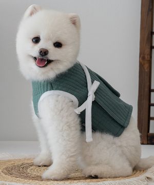 강아지 누비한복 조끼 워싱그린