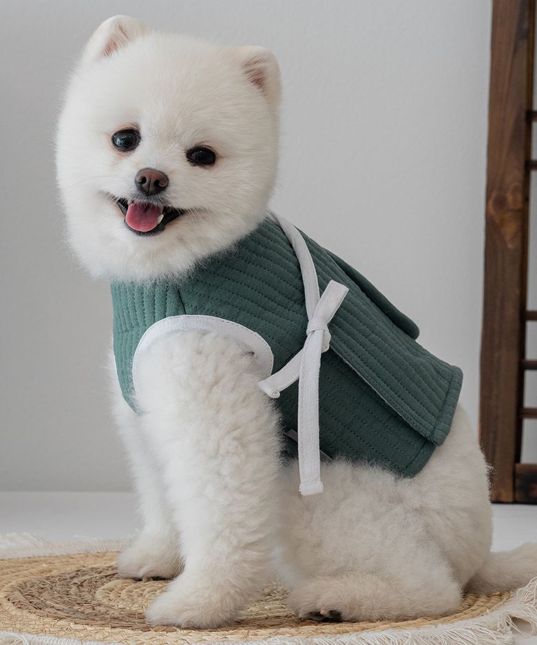 강아지 누비한복 조끼 워싱그린