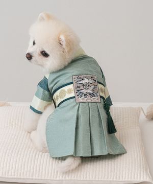 강아지 설날 항균 서후왕자 한복 초록빛