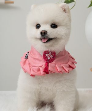 강아지 설날 소담 한복 케이프 진달래