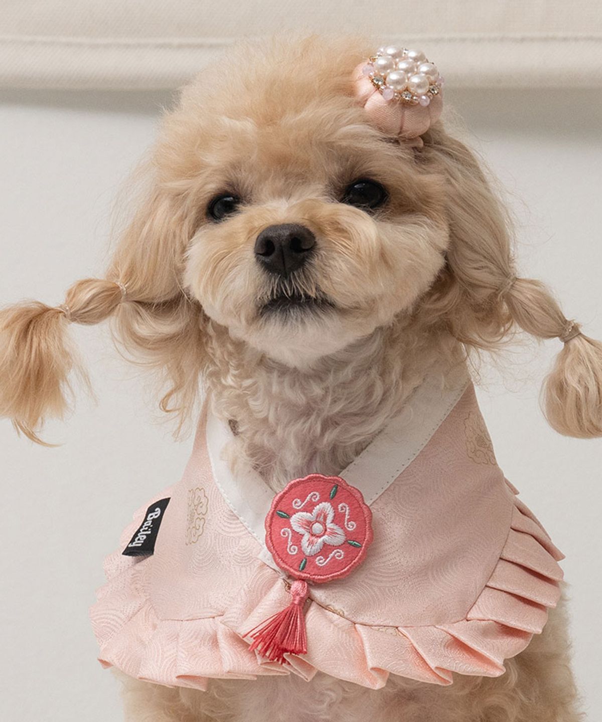 베일리(BAILEY) 강아지 설날 소담 한복 케이프 벚꽃