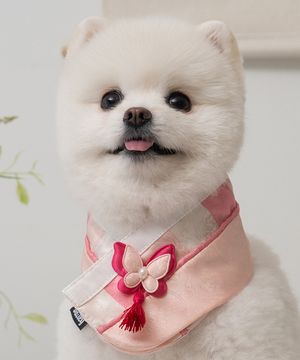 강아지 명절 다온 한복 케이프 산호빛