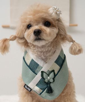 강아지 명절 다온 한복 케이프 초록빛