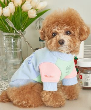 강아지옷 브루클린 테니스 맨투맨