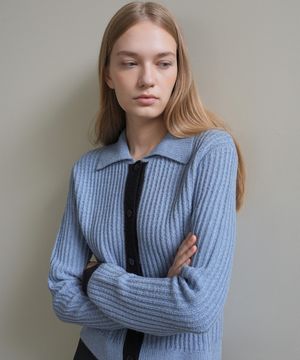 COLOR BLOCK CARDIGAN / BLUE