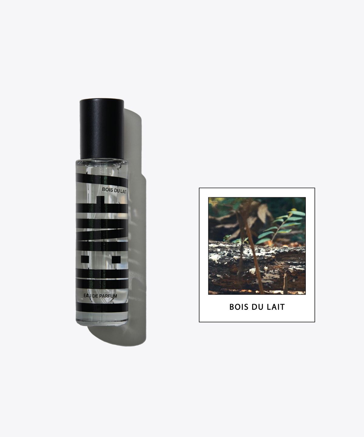 꼬네(CONEZ) 부아 뒤 레 오 드 파르펭 15ml