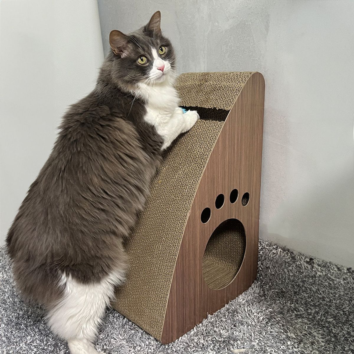 개과천선(GAEKWACHEONSUN) 키츠 고양이 스크래쳐 숨숨집 브라운