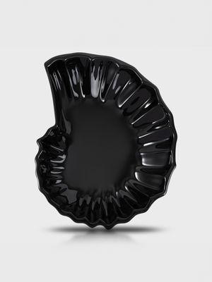 [선물포장]암모나이트 플레이트 2COLOR