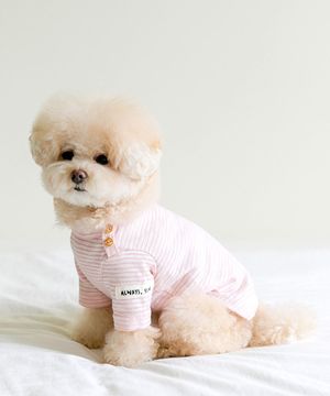 Fall in Stripe T 24 ver. - 소프트핑크