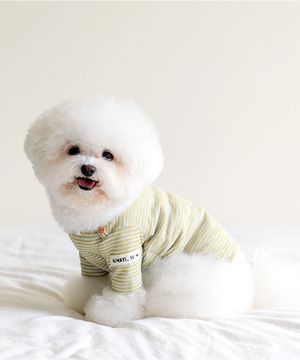 Fall in Stripe T 24 ver. - 민트올리브