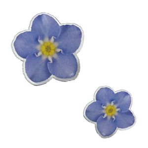 [Acrylic tok] 물망초 아크릴톡