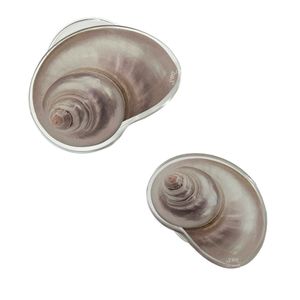 [Acrylic tok] 조개 아크릴톡