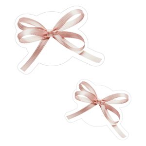 [acrylic tok]  Balletmood acrylic tok