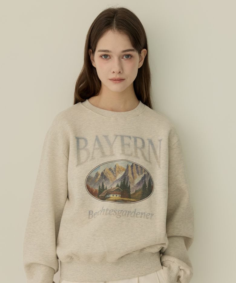Bayern sweatshirts_3Color