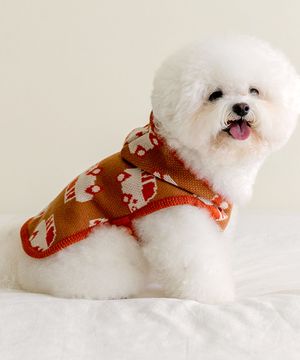 마이 리틀 붕붕 판초 - 브라운치즈