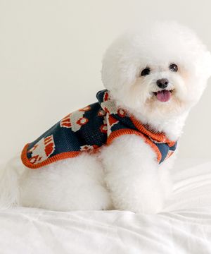 마이 리틀 붕붕 판초 - 블루