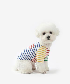 컬러블럭 강아지 티셔츠