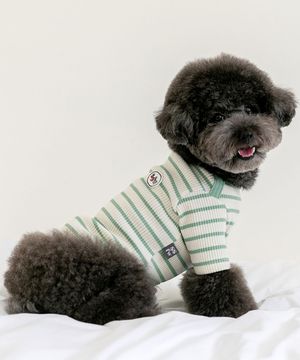 세서미 스트라이프 티 24 ver. - 민트