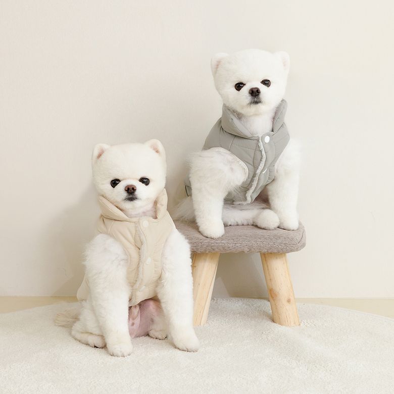 강아지 패딩조끼