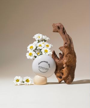 퍼퓨머리 핸드앤네일 크림 캐모마일 다이브 50ml