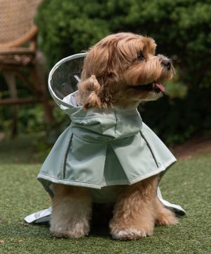 강아지 아웃도어 레인코트 S-5XL 민트