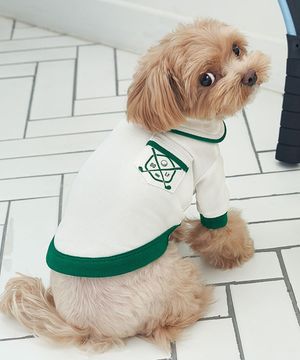 강아지옷 향균 골프포켓티 그린