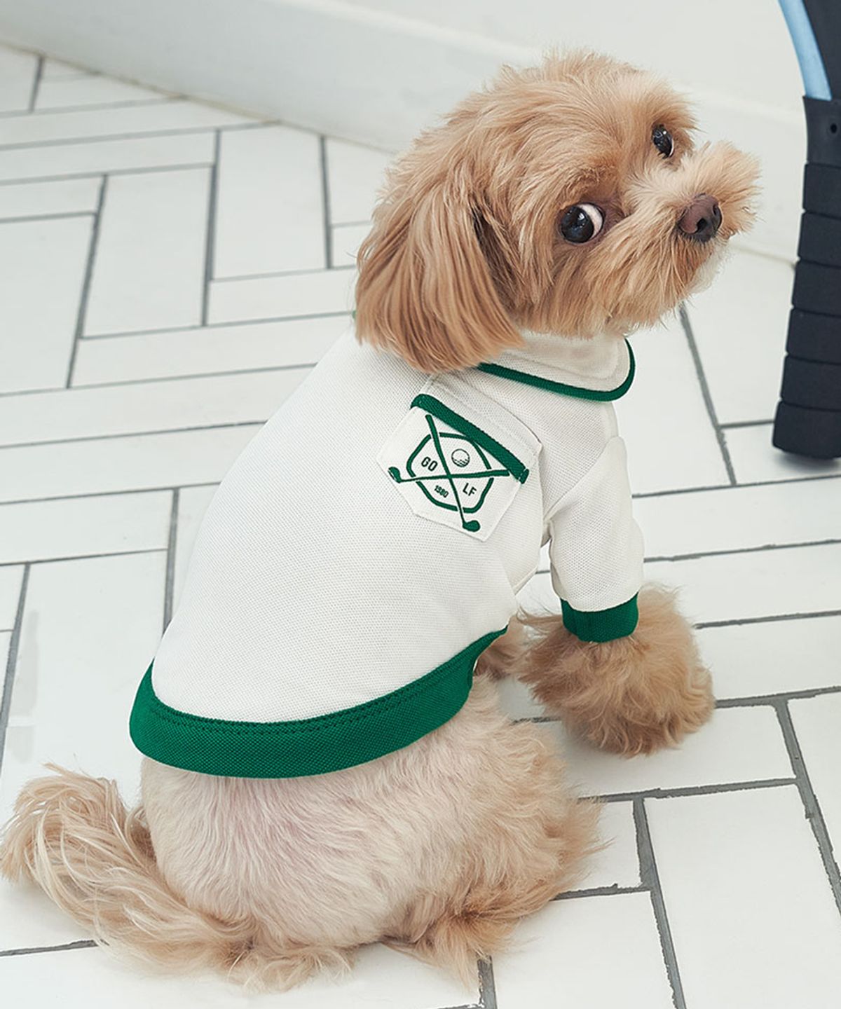 베일리(BAILEY) 강아지옷 향균 골프포켓티 그린