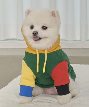 강아지 기모 컬러풀 후드티셔츠 S-5XL 그린