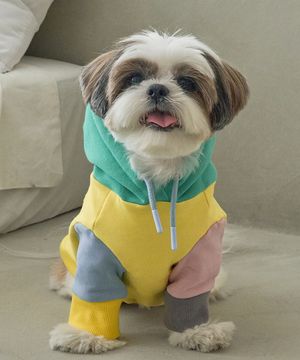 강아지 기모 컬러풀 후드티셔츠 S-5XL 옐로우