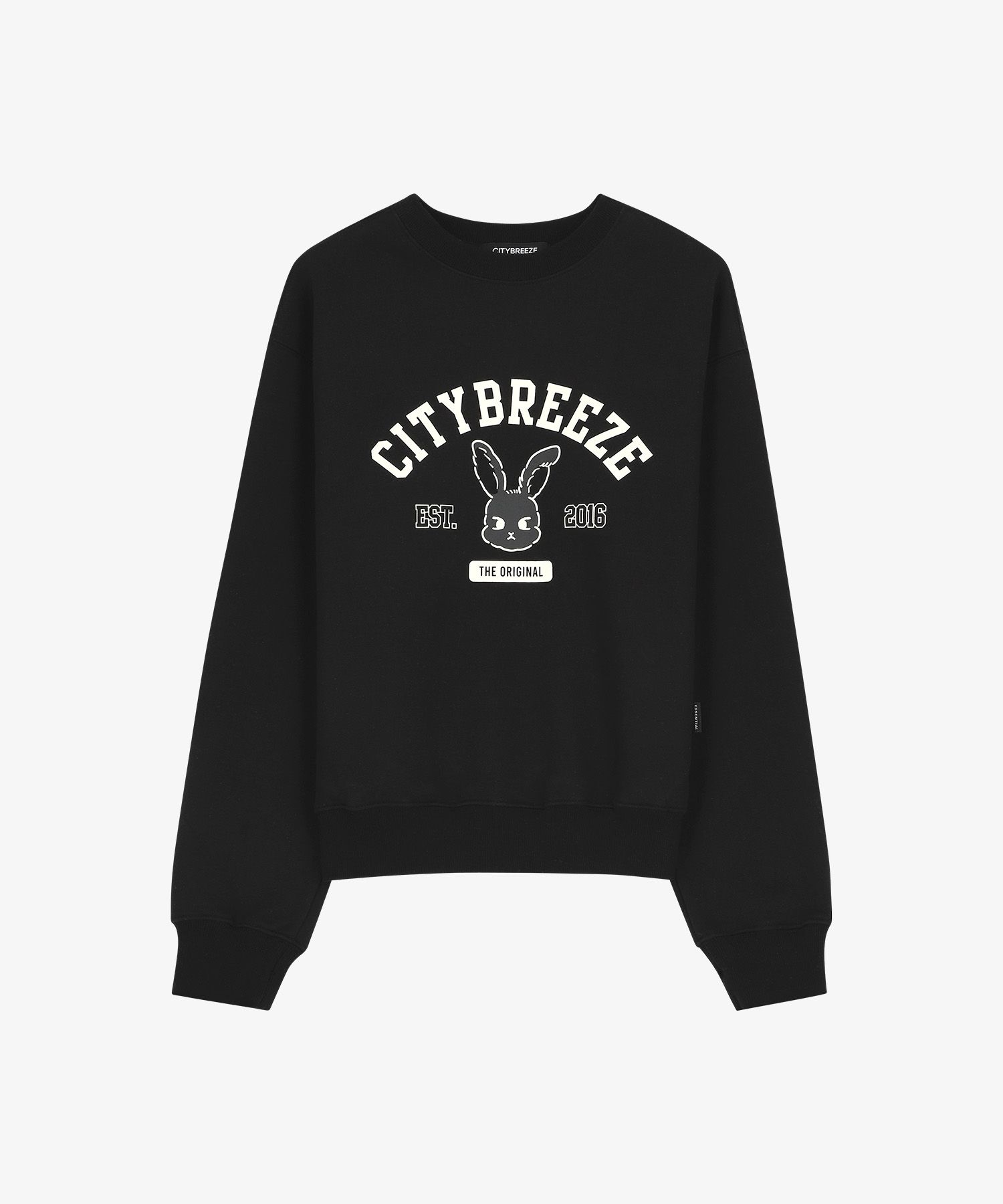 ★関税込★CITYBREEZE★LOGO EMBROIDERY OVER FIT SWEATSHIRT★ MUSINSA | CITYBREEZE [22FW] [UNISEX] Logo Embroidered Basic