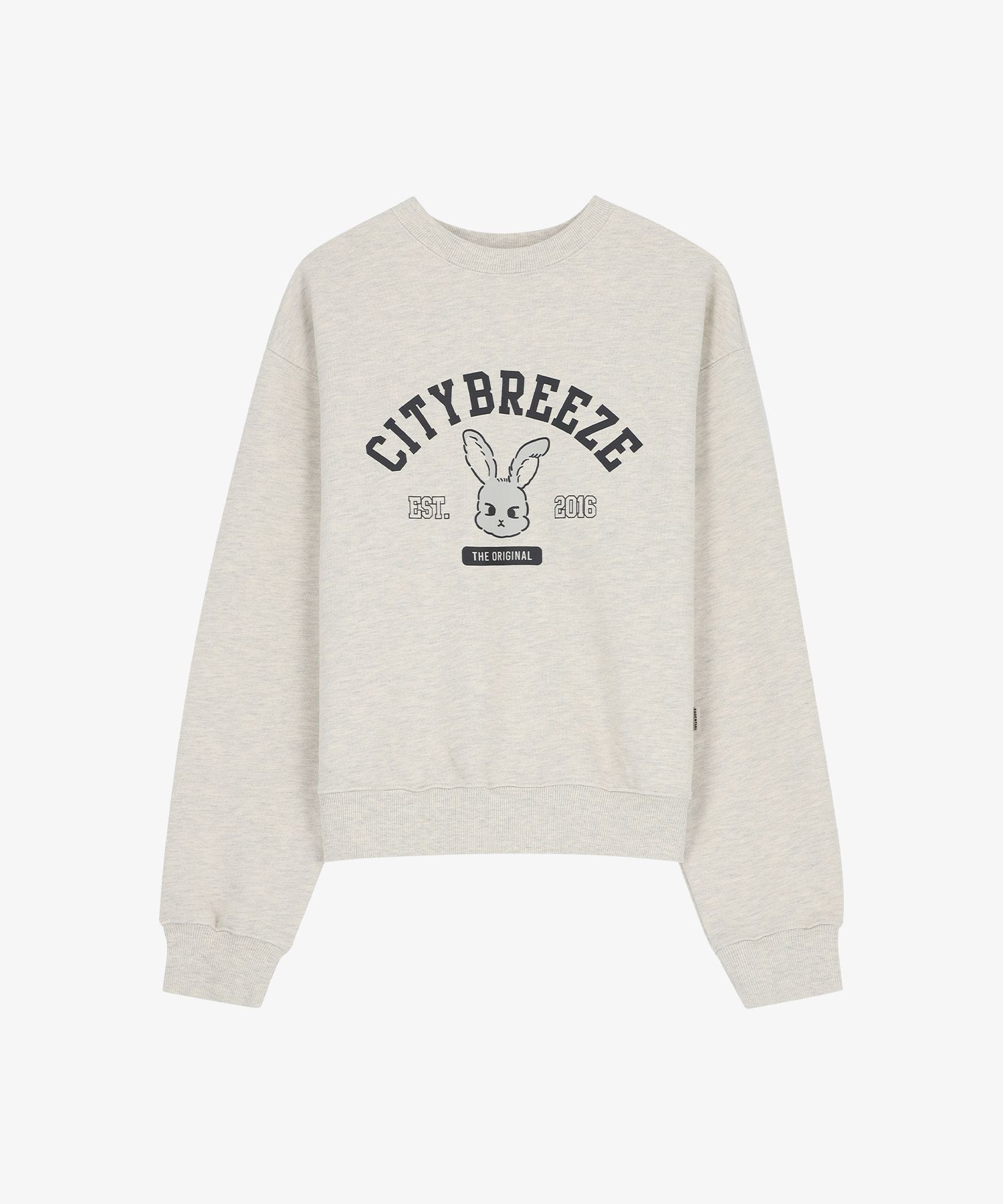 MUSINSA | CITYBREEZE City Snappy Graphic Sweatshirt_Oatmeal