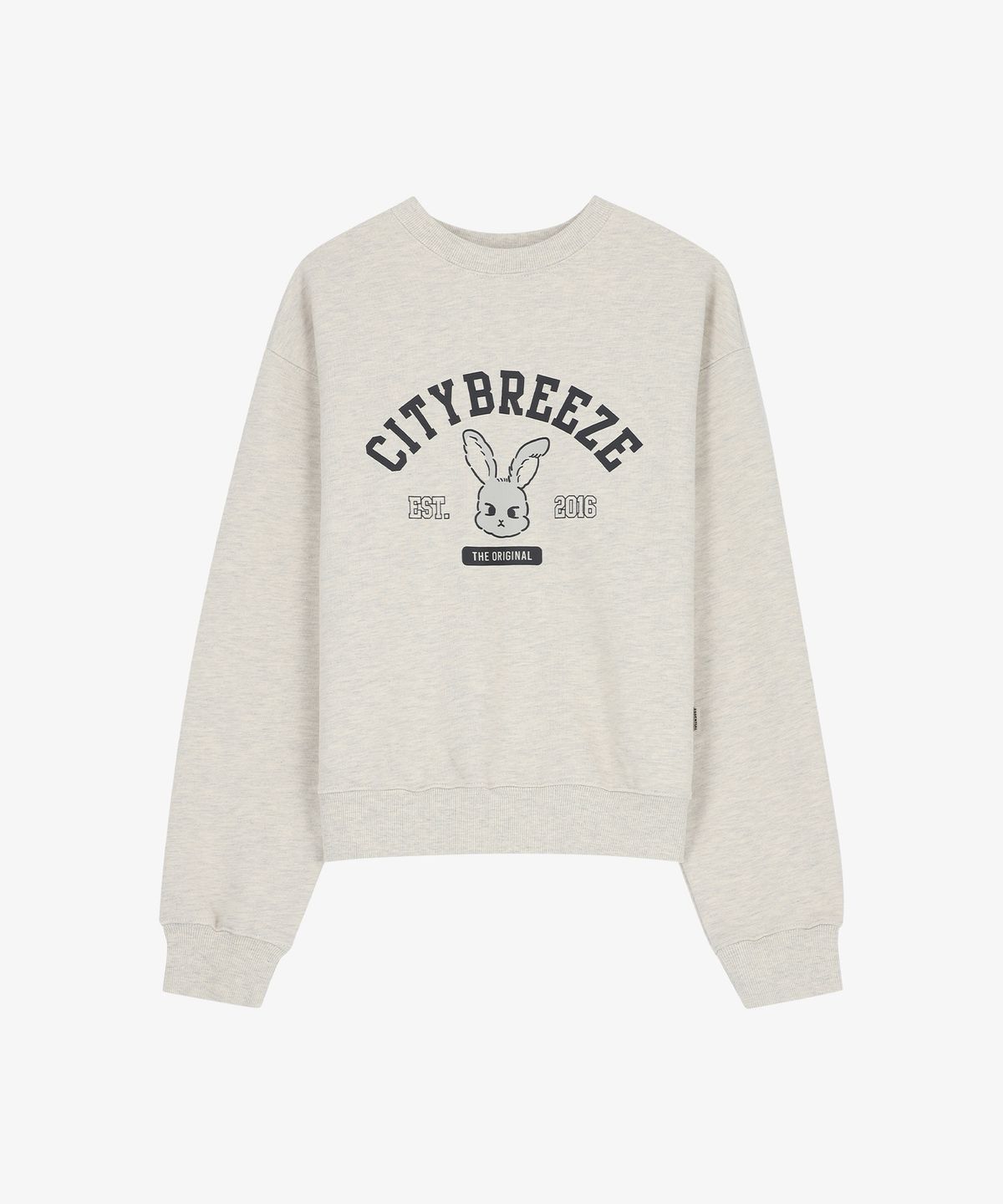시티브리즈(CITYBREEZE) 시티 스내피 그래픽 스웨트 셔츠_OATMEAL