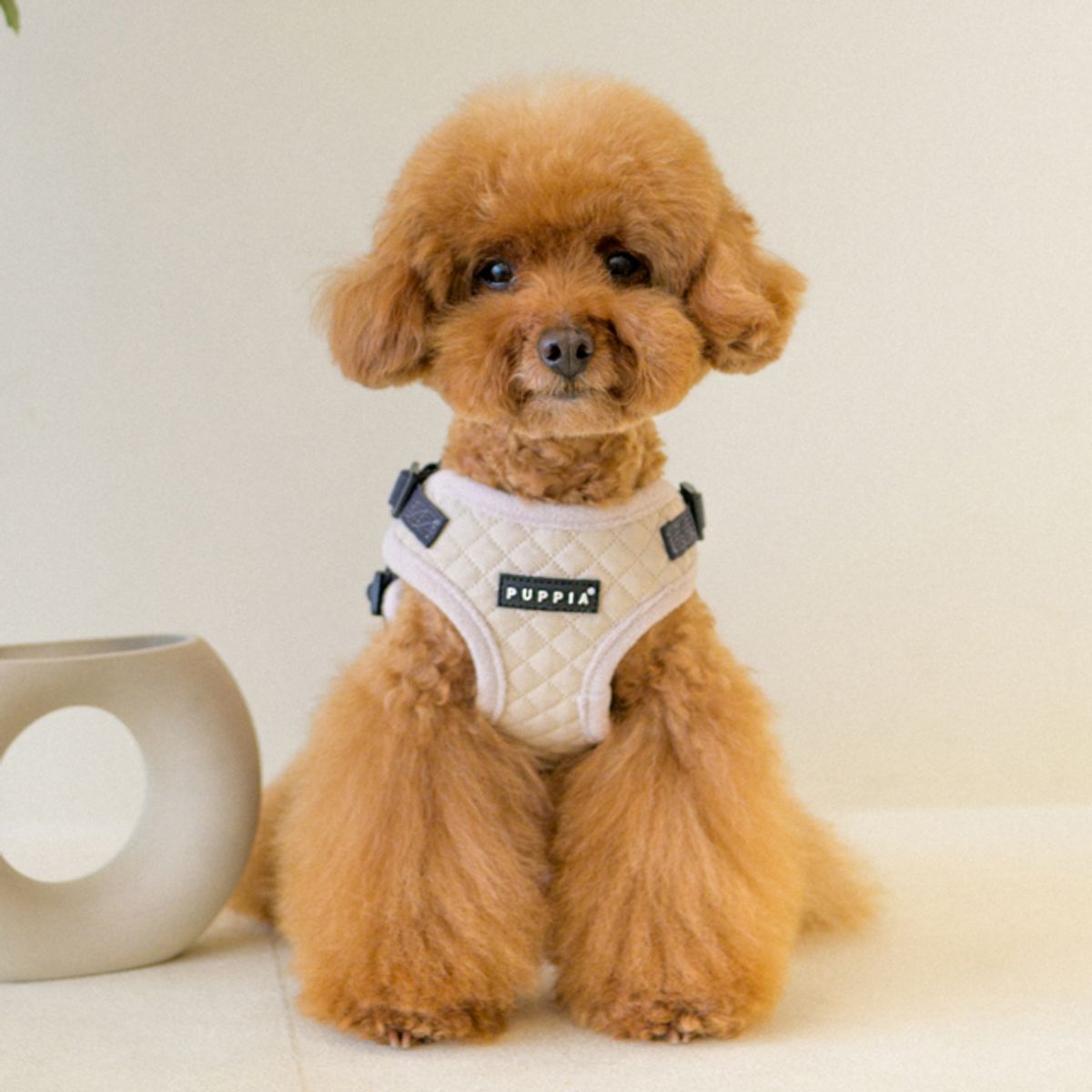 퍼피아(PUPPIA) 어빈 하네스 C (PAYD-HC2138)