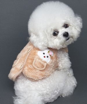 강아지 토순이 조끼 브라운