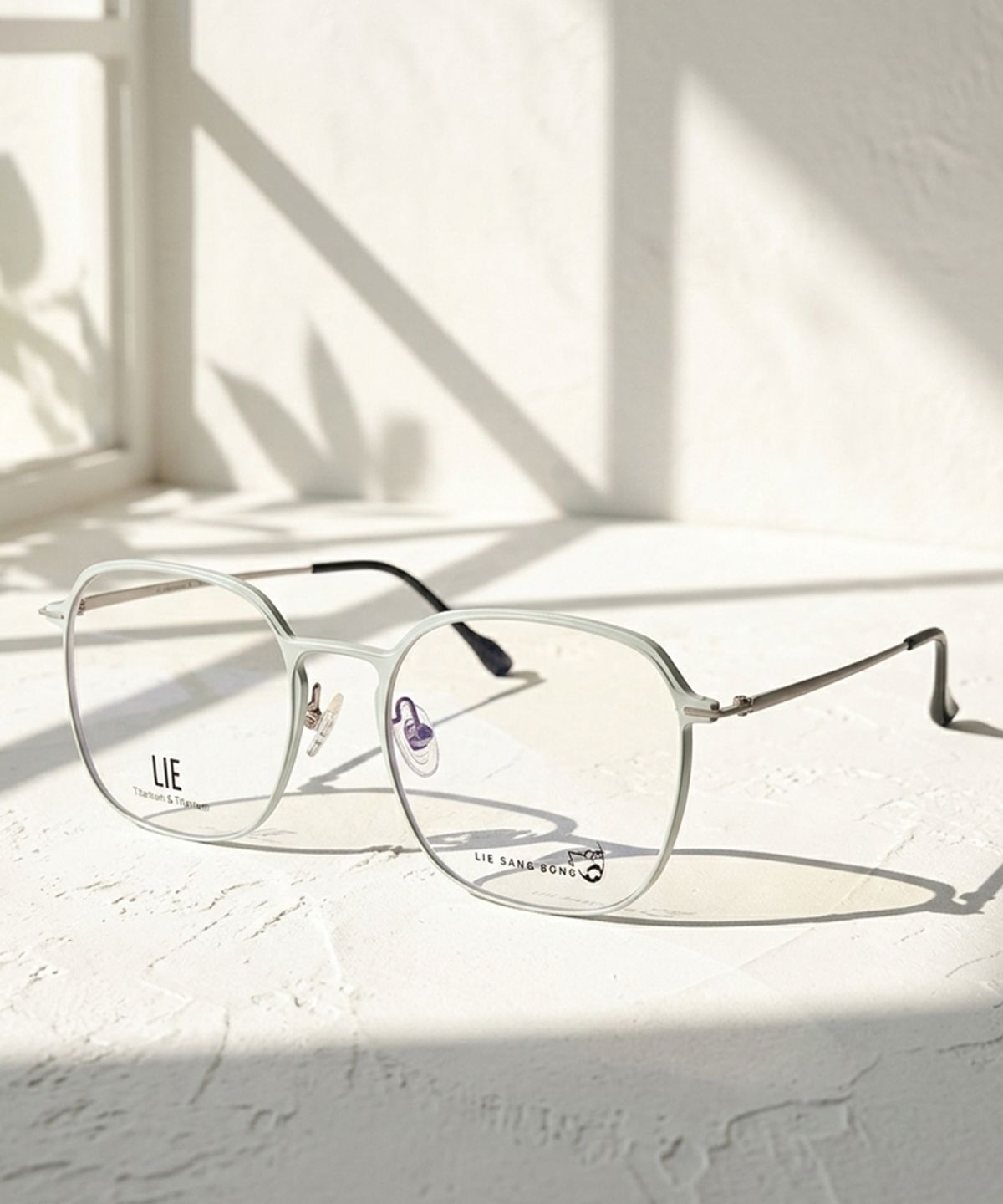 라이아이웨어(LIEEYEWEAR) DT303-002