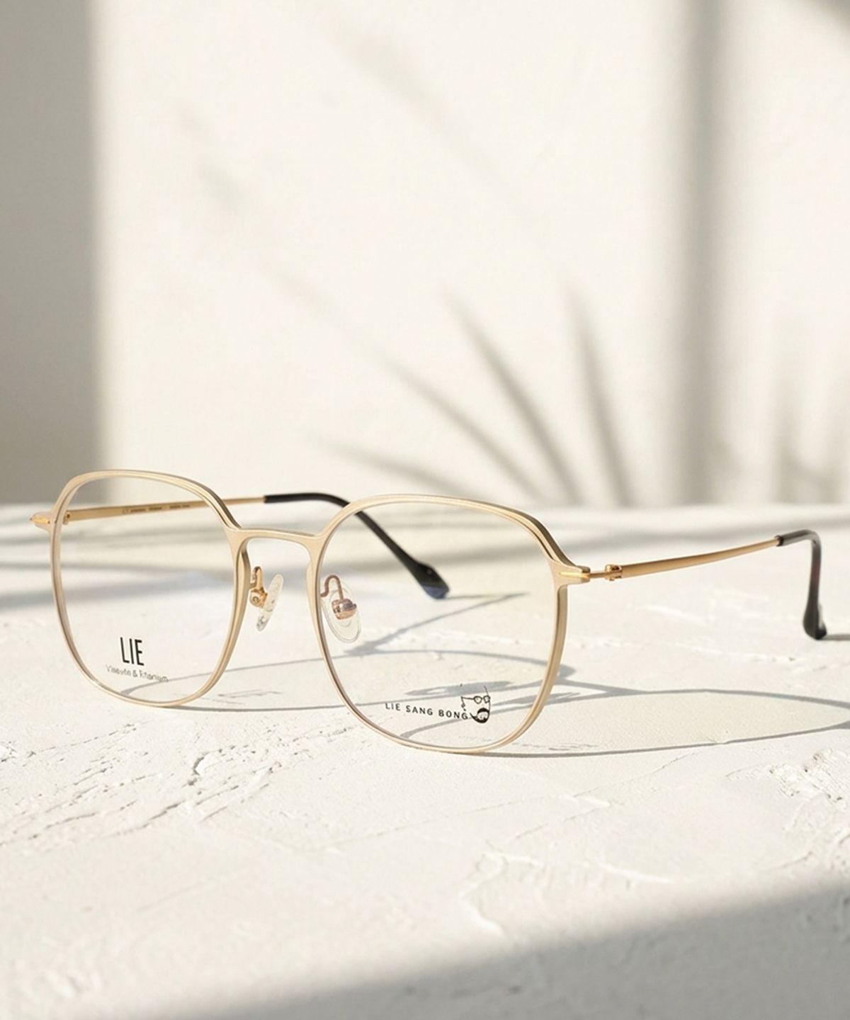 라이아이웨어(LIEEYEWEAR) DT303-003