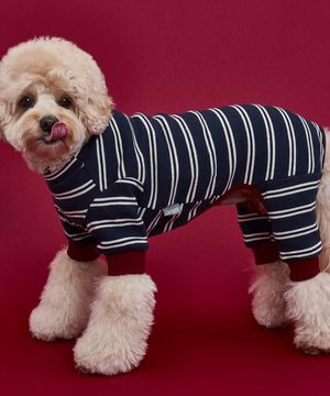 강아지 트윈 단가라 올인원 네이비