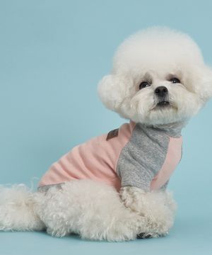 강아지 실내복 나그랑 티셔츠 S-5XL 핑크