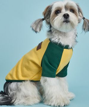 강아지 실내복 나그랑 티셔츠 S-5XL 옐로우