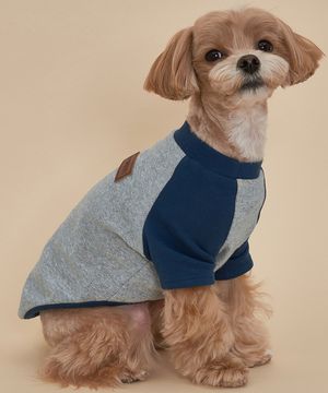 강아지 실내복 나그랑 티셔츠 S-5XL 그레이