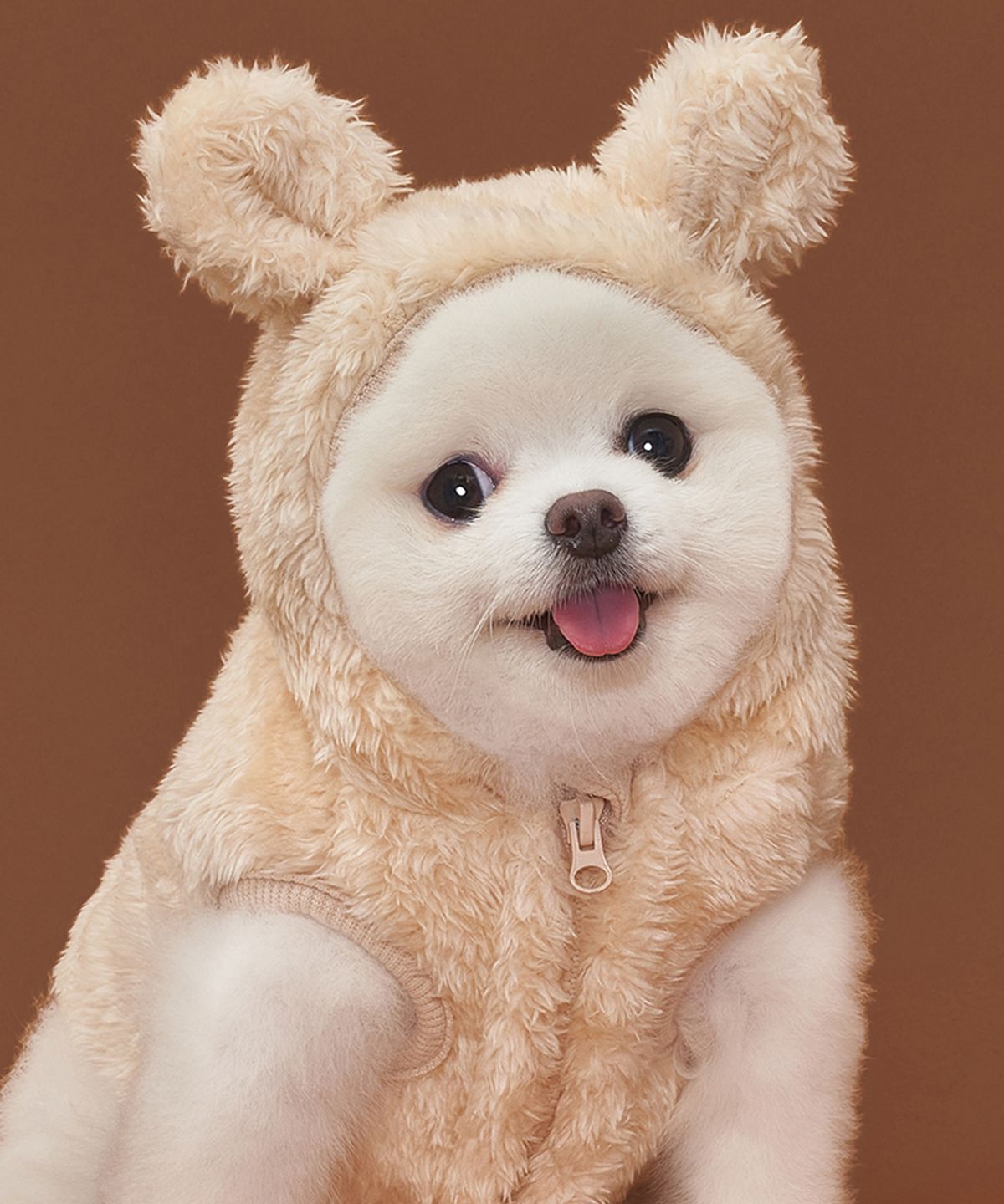 도그아이(DOGI) 강아지 곰후드 베스트 베이지