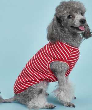 강아지 골지줄무늬 티셔츠 S-5XL 레드