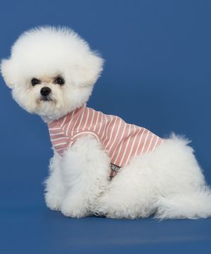 강아지 골지줄무늬 티셔츠 S-5XL 핑크