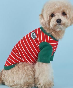 강아지 단가라 나그랑 티셔츠 S-5XL 레드