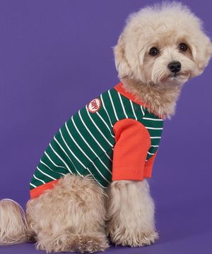 강아지 단가라 나그랑 티셔츠 S-5XL 카키