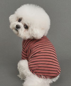 강아지 믹스 스트라이프 티셔츠 S-5XL 커피브라운