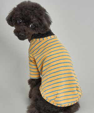 강아지 믹스 스트라이프 티셔츠 S-5XL 머스타드