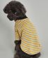 강아지 믹스 스트라이프 티셔츠 S-5XL 머스타드