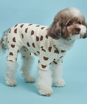 강아지 베어베어 올인원 아이보리