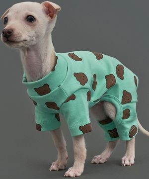 강아지 베어베어 올인원 민트